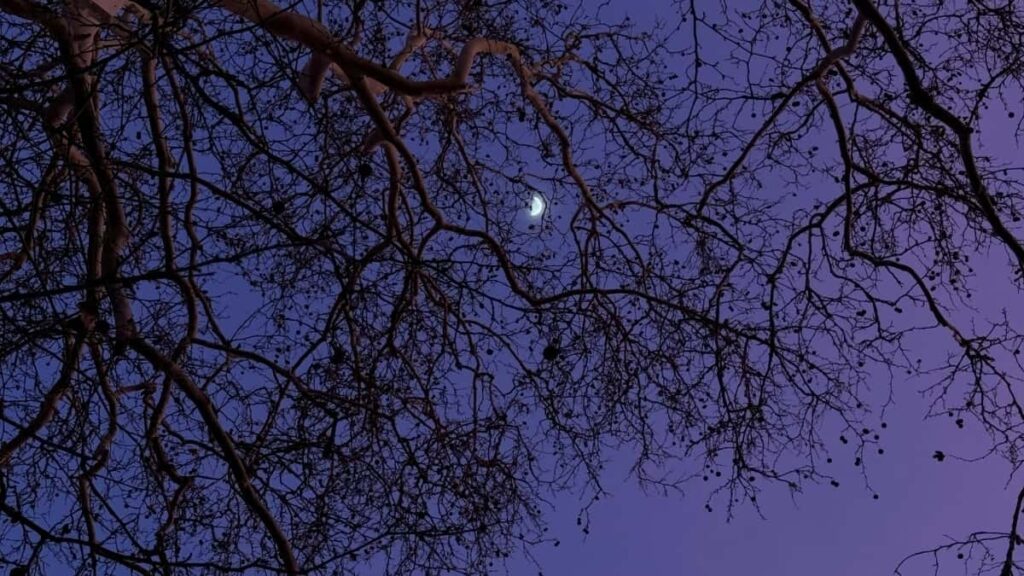 تعرفه تبلیغات لینکدین در آلمان برای بازار ایران ۲۰۲۵