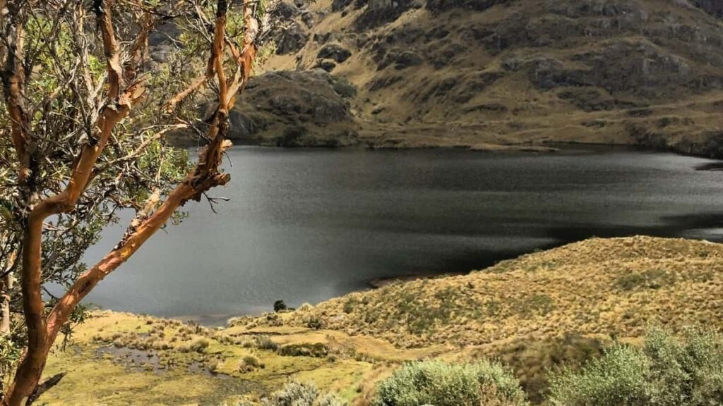 نرخ تبلیغات کامل دسته بندی سوروش در اندونزی ۲۰۲۵ برای ایران
