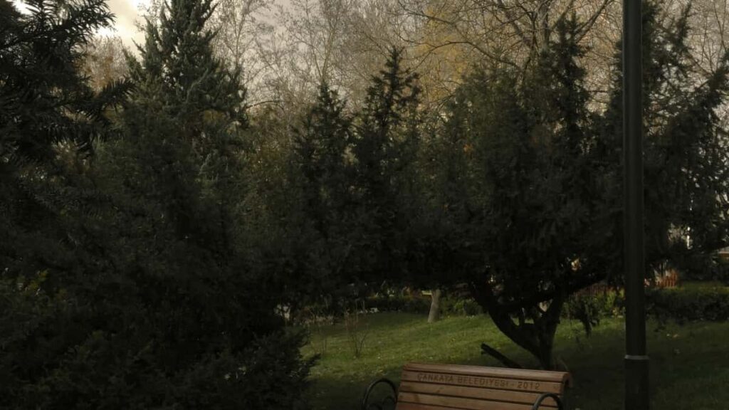 تعرفه تبلیغات کامل سوروش بلاروس ۲۰۲۵ برای بازار ایران