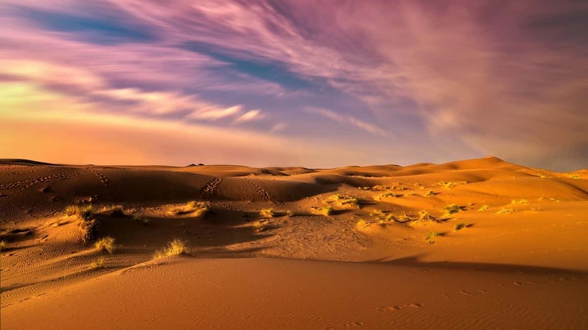 چطور برندها در جمهوری چک با ردیت برای همکاری منطقه\u200cای به نتیجه رسیدند؟