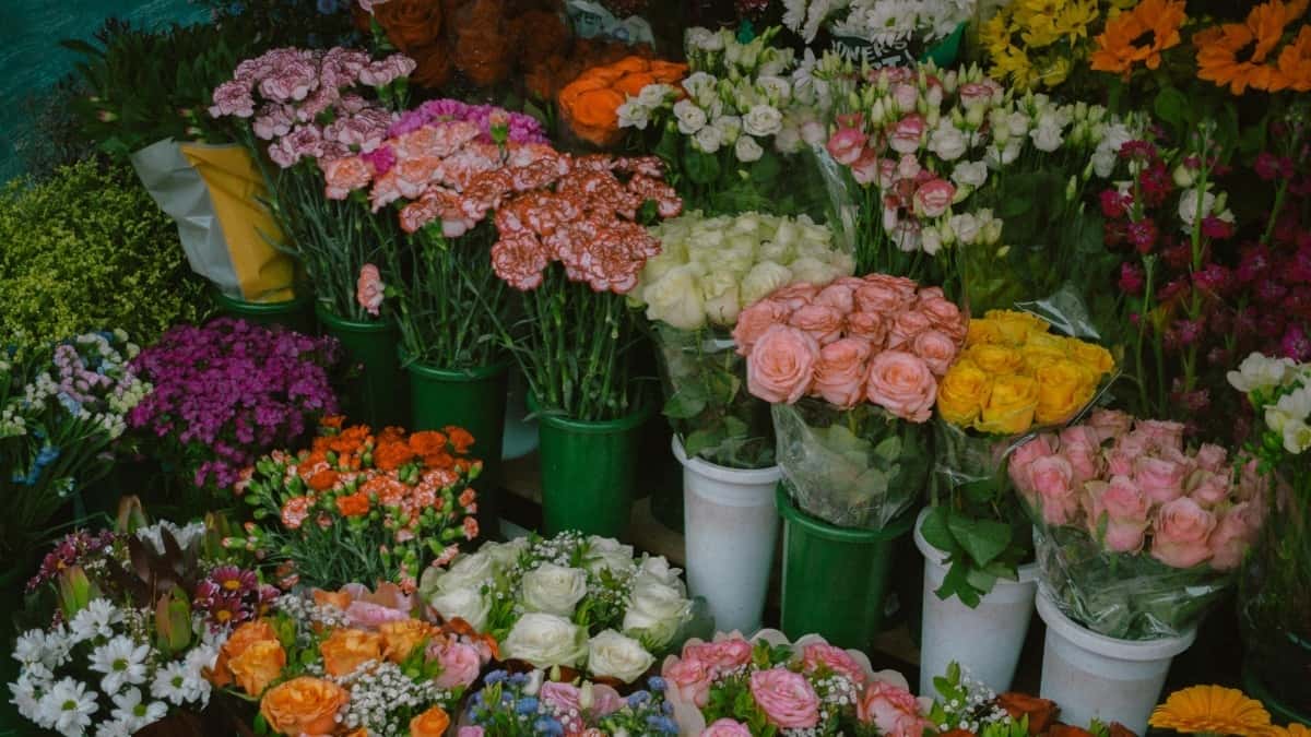 چطور کریتورهای ایرانی در دوئین با کروواسی قرارداد سالانه می\u200cبندند؟