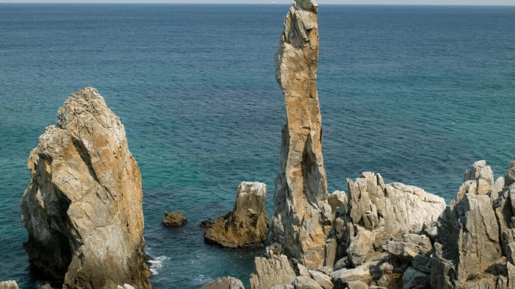 : Roposo