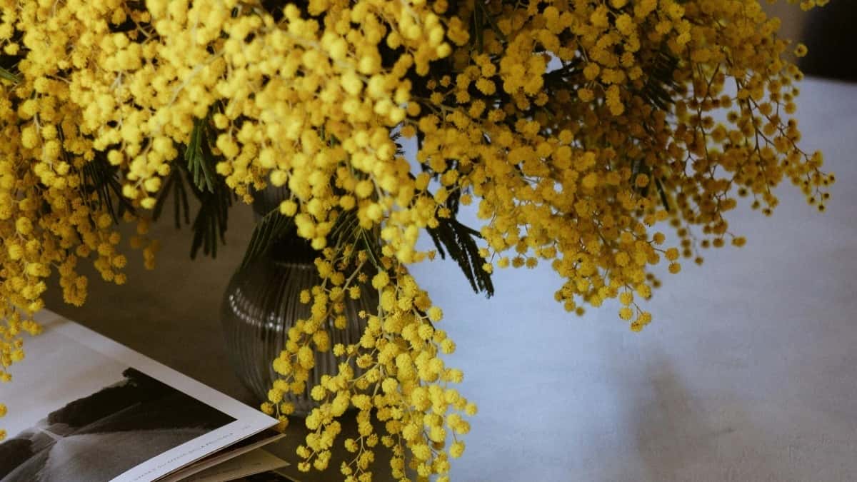 چطور تو ترکیه به دنبال تولیدکننده\u200cهای WeChat برای تست محصول جدید بگردیم؟
