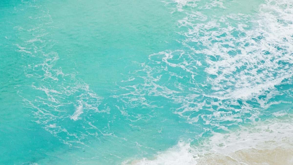 تبلیغات گیم: پیدا کردن کریِیتورهای Roposo ونزوئلا