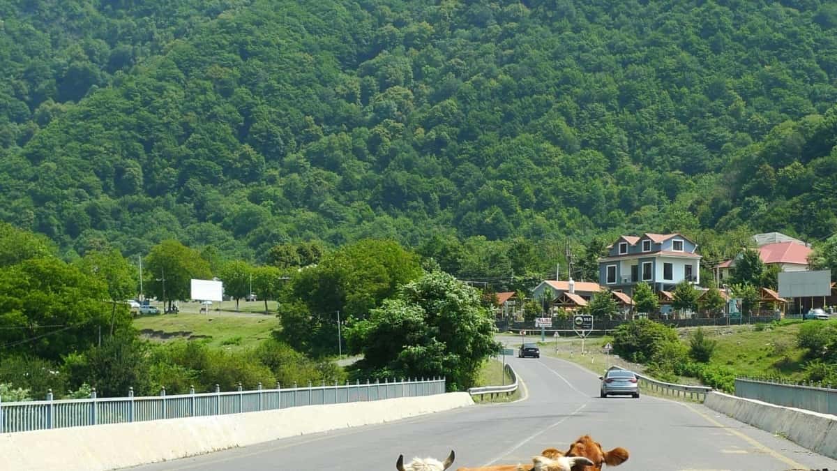 نحوه ارتباط با برندهای فرانسوی در اسپاتیفای برای بررسی محصولات ترند