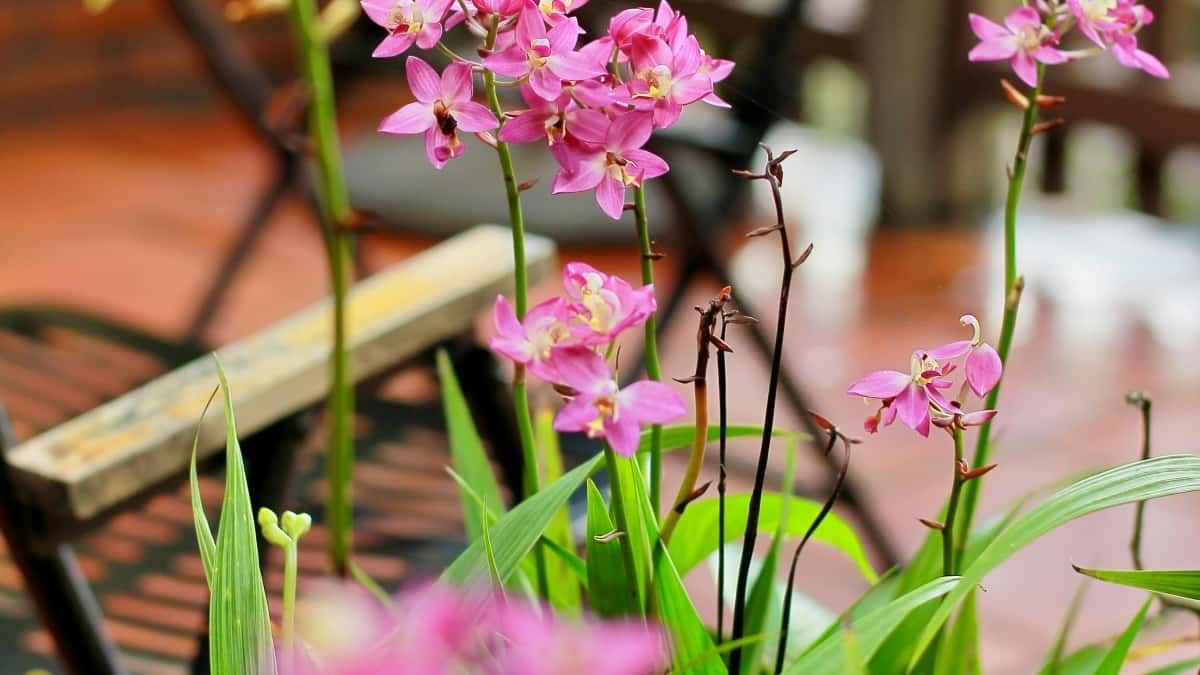 چطور با برندهای لائوس در جاش برای همکاری\u200cهای کمپین سلامتی ارتباط بگیریم؟