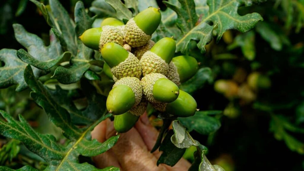 Netflix wardrobe haul .