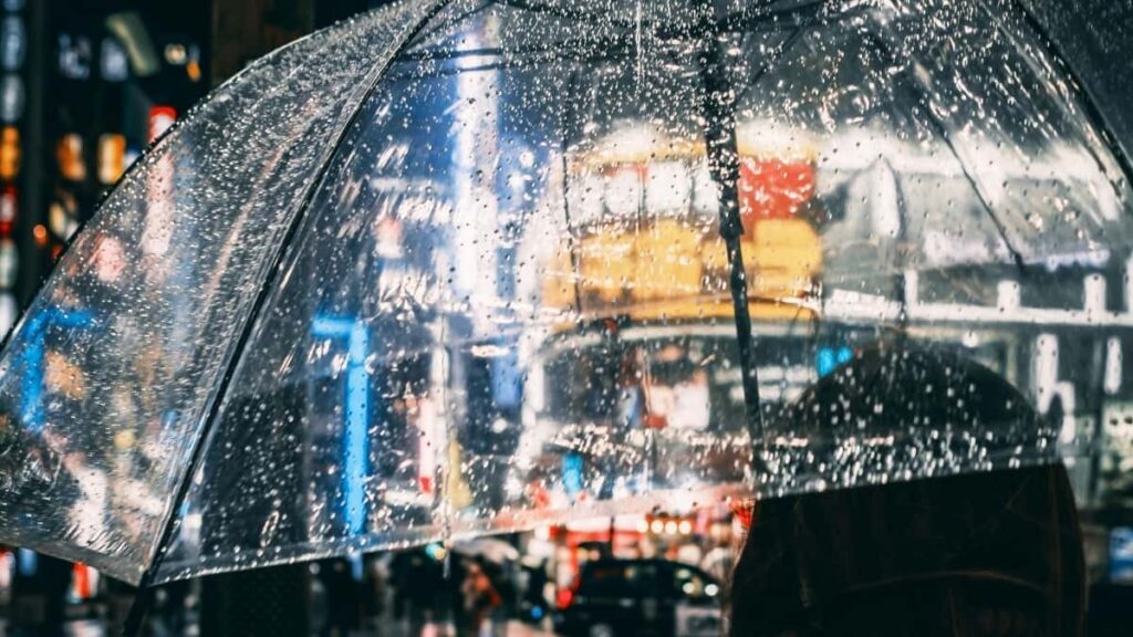 : Kuaishou micro-influencer .